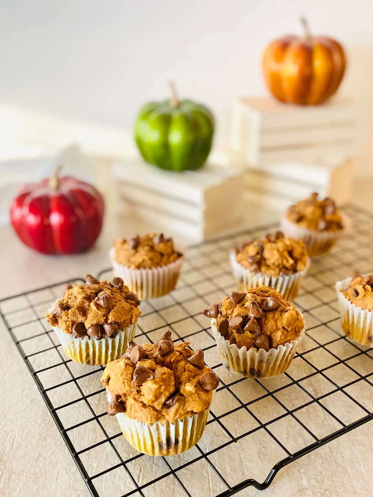 three ingredient pumpkin muffins on a baking rack with pumpkins in the background
