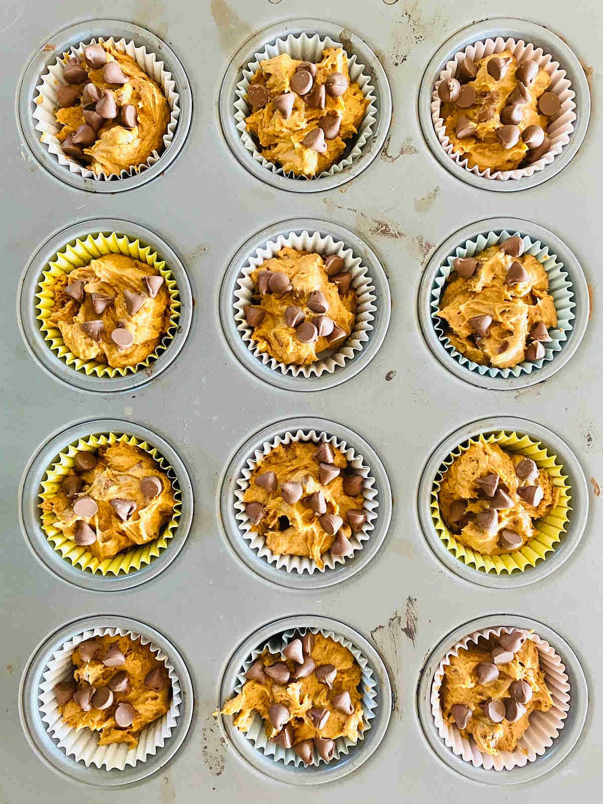 3 ingredient pumpkin spice muffins in a cupcake tray with cupcake liners