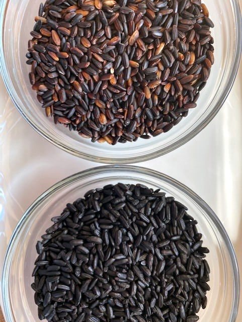 black-rice-two-kinds-in-two-glass-dishes