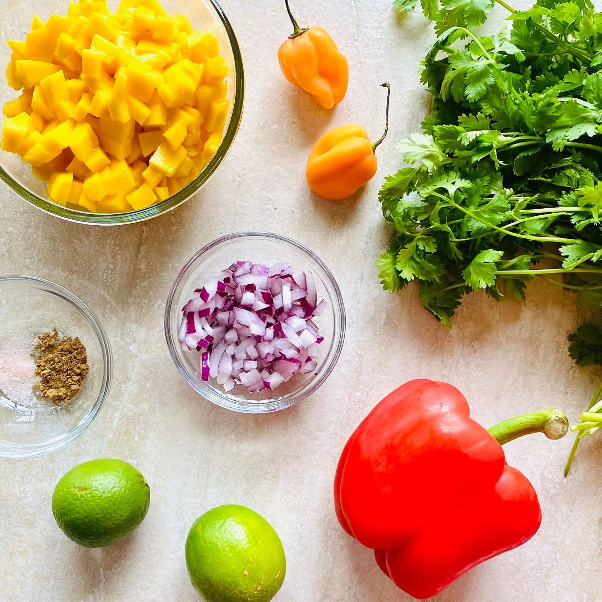 picture of ingredients to make habanero mango salsa