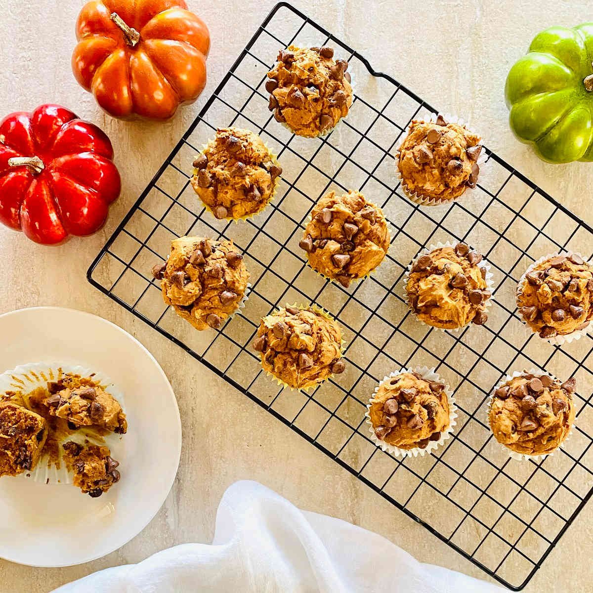 3 ingredient pumpkin chocolate chip muffins on a baking rack next to colored pumpkins