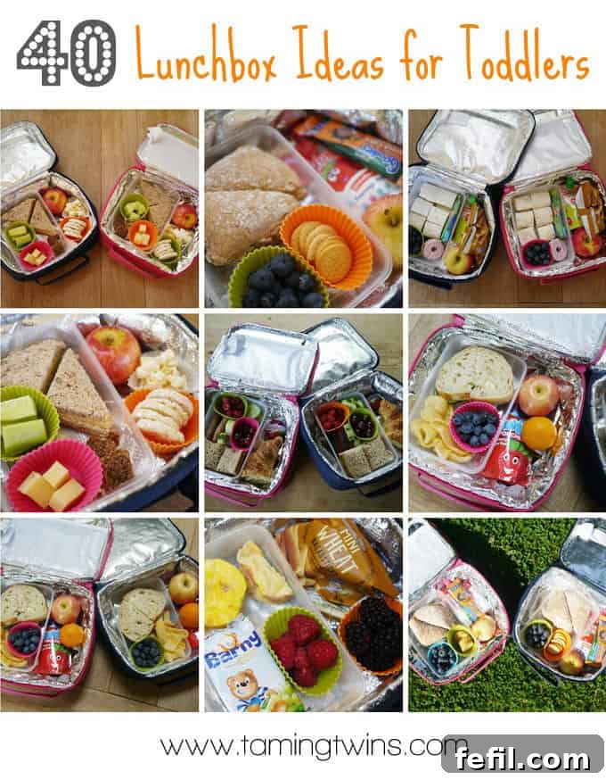 40 Delicious Toddler Lunchbox Meals 2 Toddler Lunchbox Ideas - Healthy and Fun Meals for Little Ones