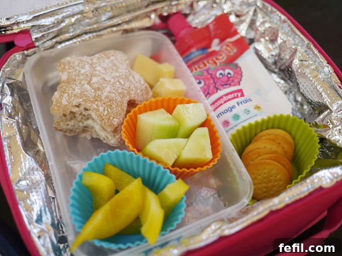 40 Delicious Toddler Lunchbox Meals 4 Varied Toddler Lunch Ideas - From Sandwiches to Snacks