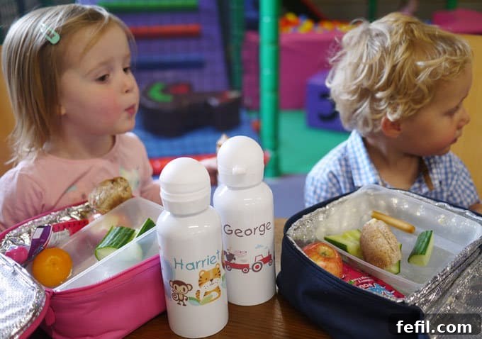 40 Delicious Toddler Lunchbox Meals 5 Fruit and Vegetable Snacks for Toddler Lunchboxes