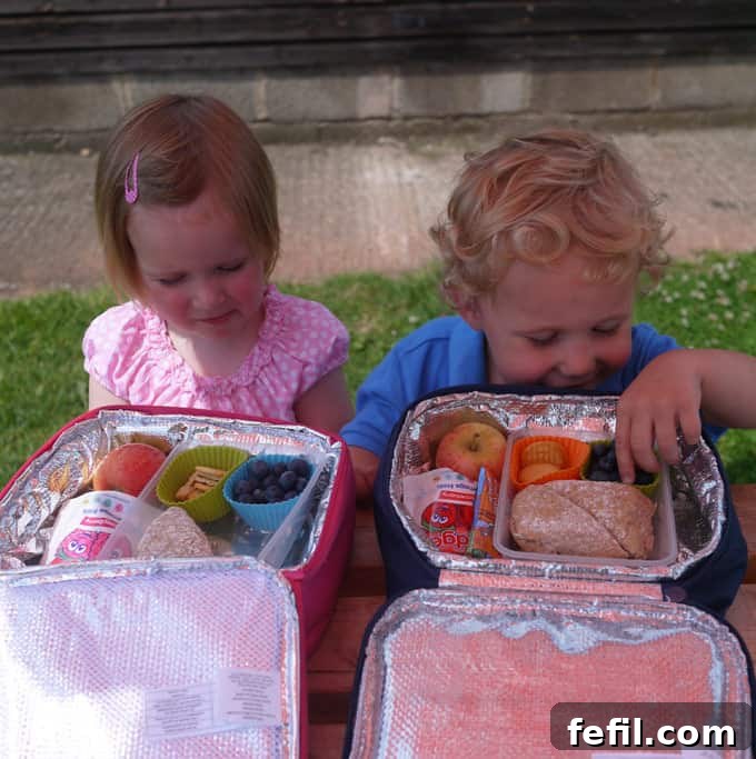 40 Delicious Toddler Lunchbox Meals 6 Toddler Twins Enjoying Their Lunchbox Picnic