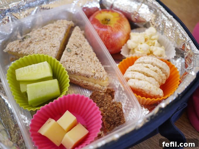 40 Delicious Toddler Lunchbox Meals 7 Colorful Lunchbox Ideas for Toddlers - Healthy and Easy