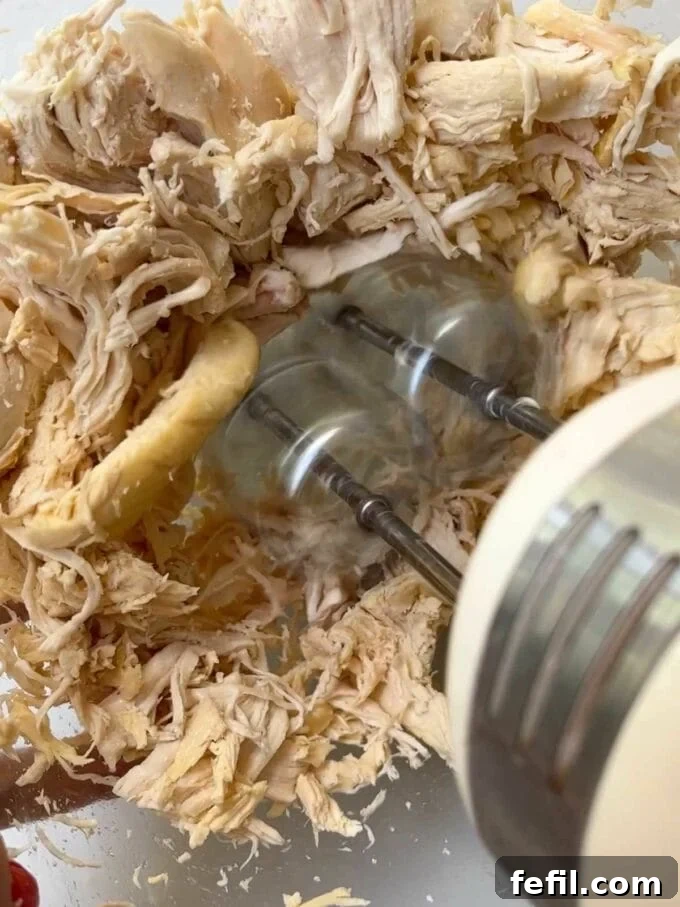 Step 1 in the recipe for Chicken Wraps. Whizz up the cooked meat.