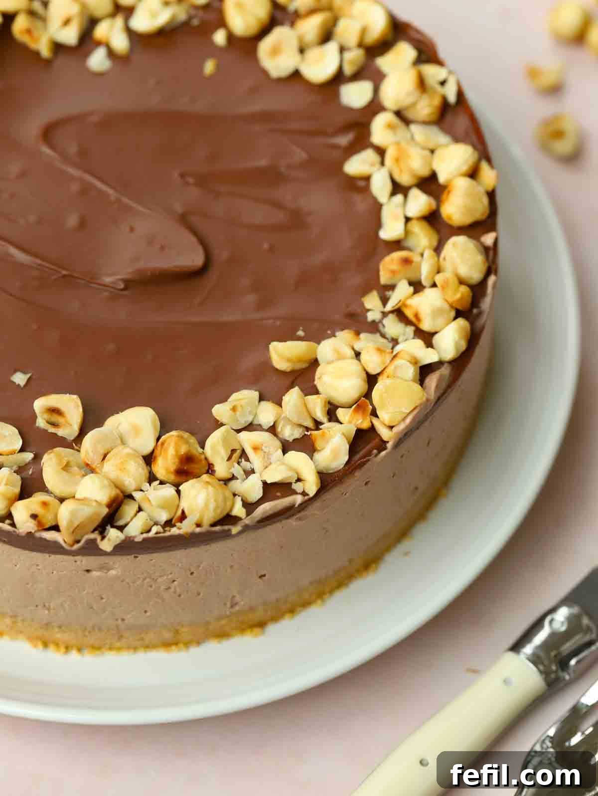 A close up of No-Bake Nutella Cheesecake on a plate, with the biscuit base, creamy filling and chocolate topping in view, sprinkled with crushed hazelnuts.