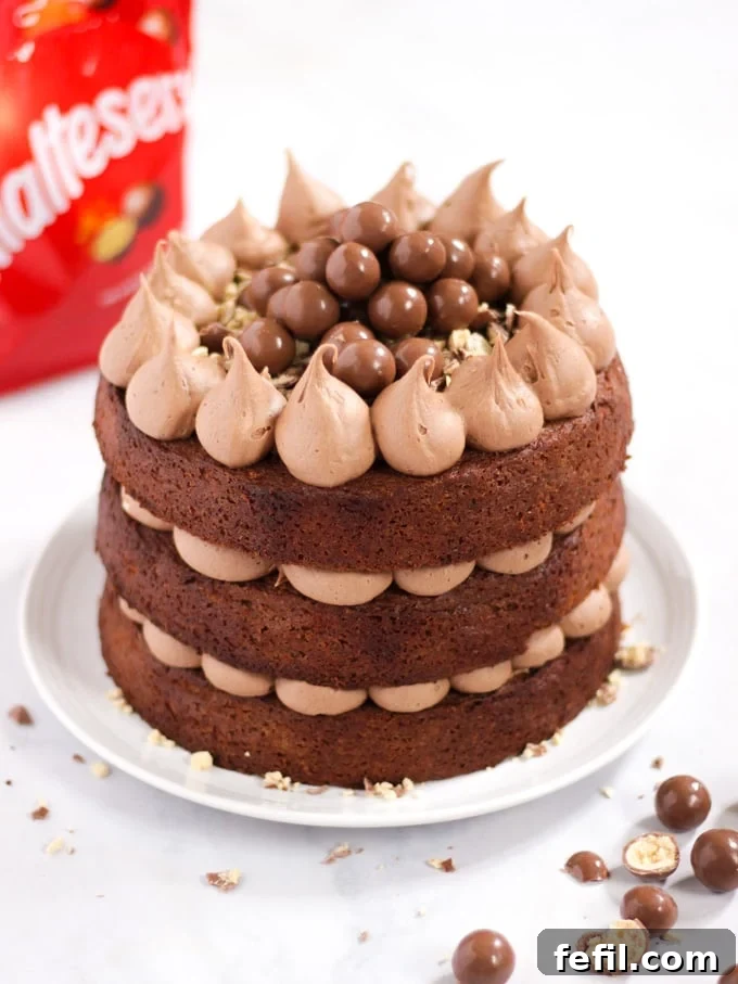 Delicious three-layer chocolate Malteser cake with whole Maltesers scattered on top and a bag of chocolates in the background.
