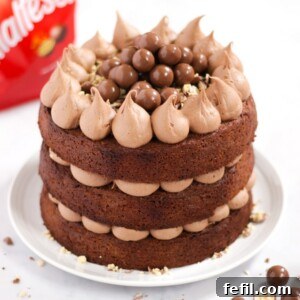Chocolate Malteser cake with Malteasers in background