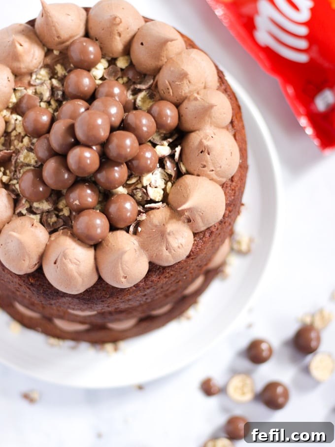 A slice of homemade Malteser Cake on a white plate, with whole Maltesers and a chocolate bag out of focus in the background.