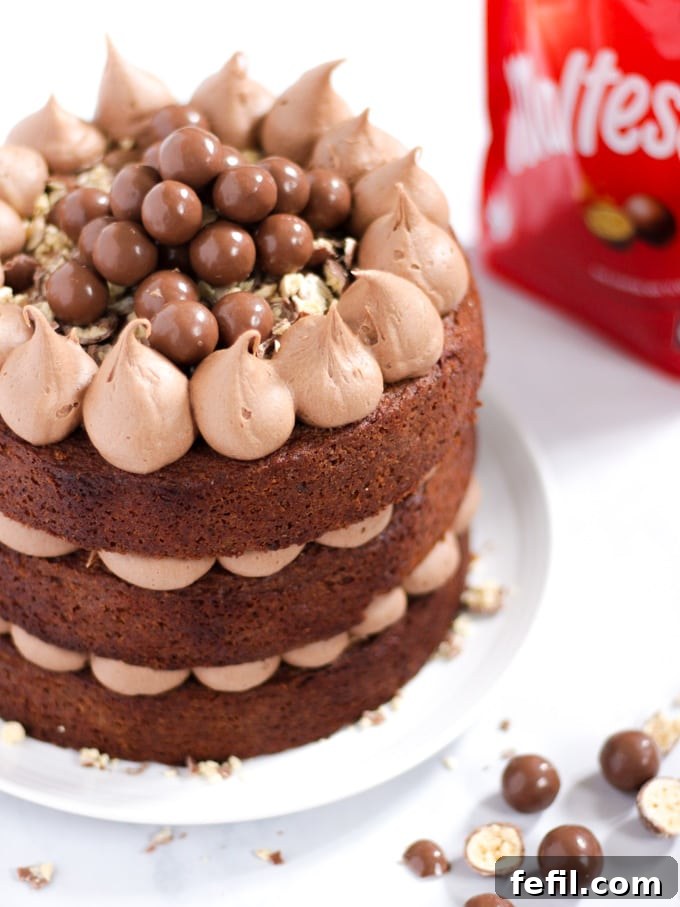 A beautifully frosted Malteser cake, topped generously with chocolate frosting and malt balls, presented on a pristine white plate.