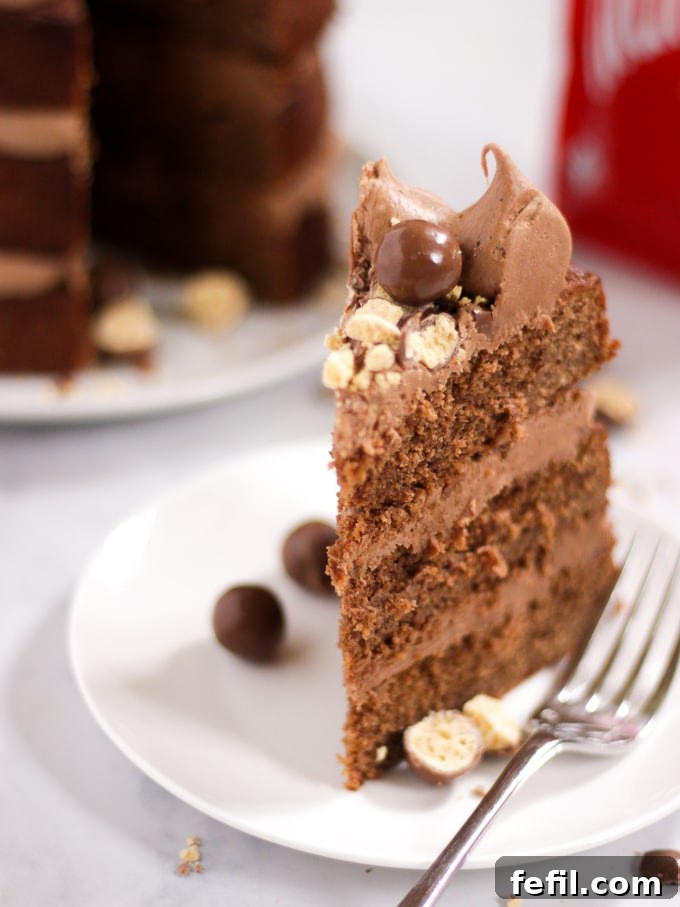 A perfectly baked slice of chocolate Malteser cake on a white plate, showcasing its moist layers and rich frosting.