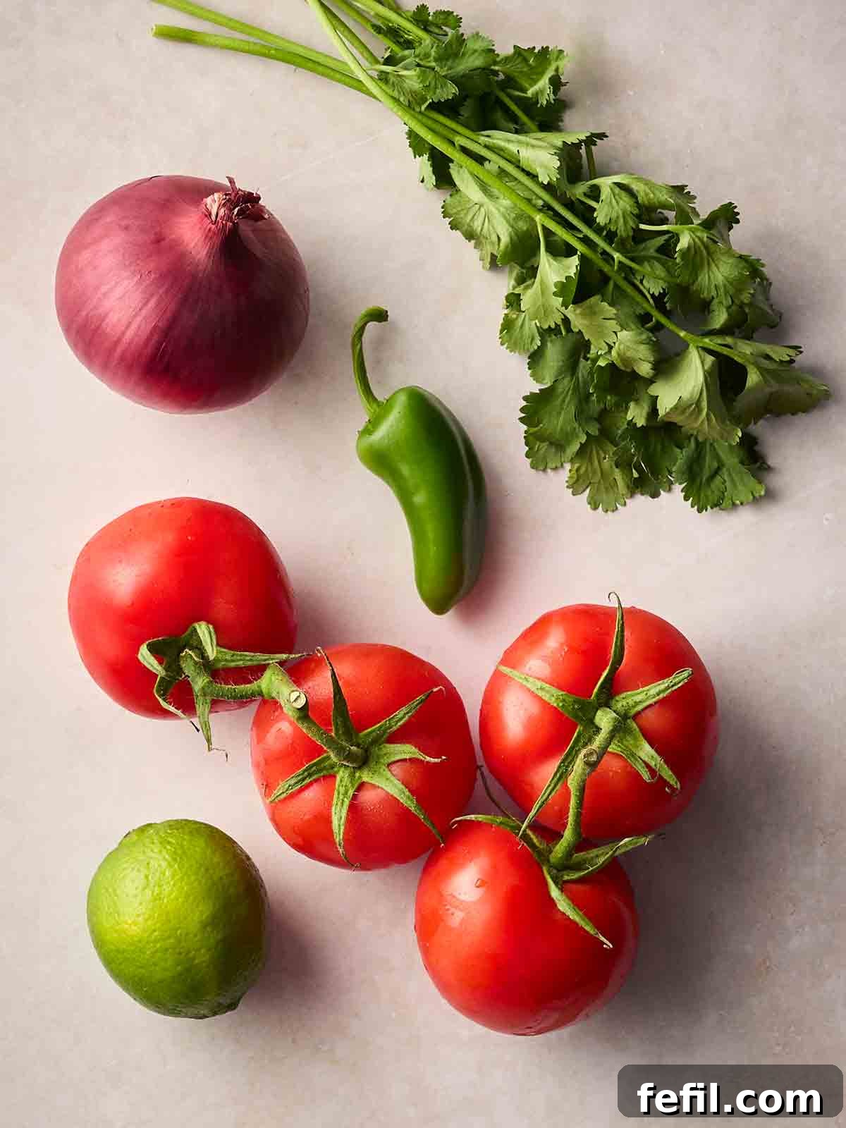 The fresh ingredients for making homemade Salsa laid out on a white counter.