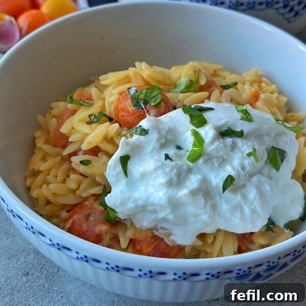 A bowl of orzo pasta mixed with cherry tomatoes, topped with creamy burrata and chopped basil.