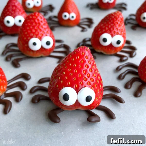 Halloween Chocolate Spider Treats for Parties 10 Strawberries decorated with candy eyes and chocolate legs to resemble cute spiders make fun, healthy bites—perfect for creative food recipes and party dishes, arranged on a light surface.